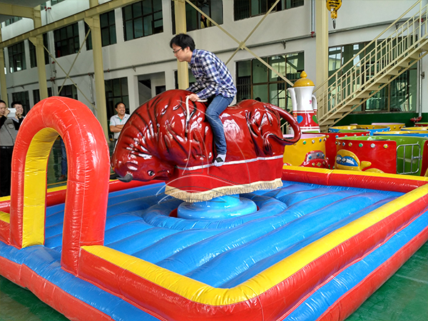 Mechanical Bull Rides