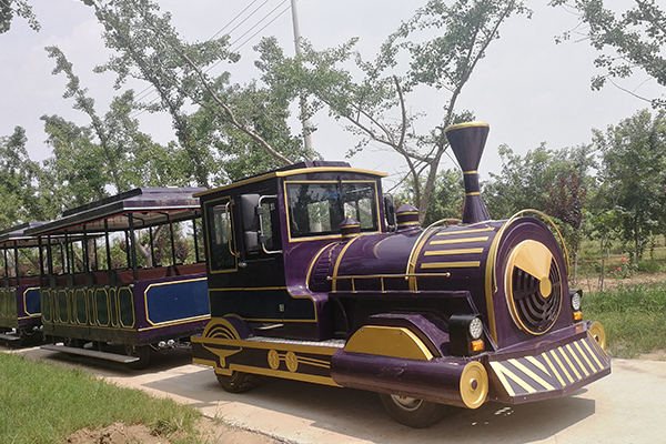 Large Tourist Trackless Train