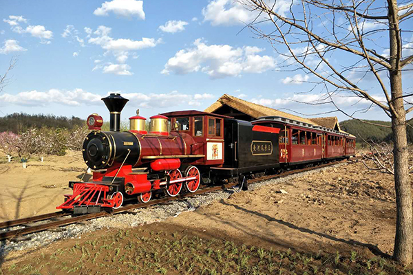 Large track sightseeing train